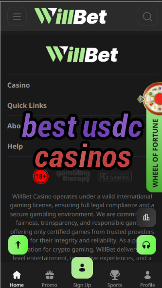 Best USDC Casinos - USD Coin Casino Guide-casinoorder.vip