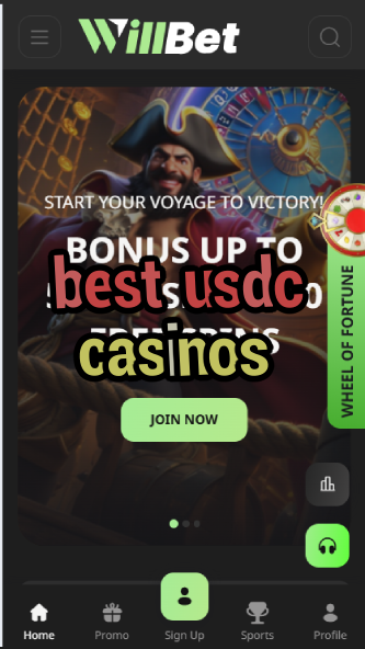 Best USDC Casinos - USD Coin Casino Guide-casinoorder.vip